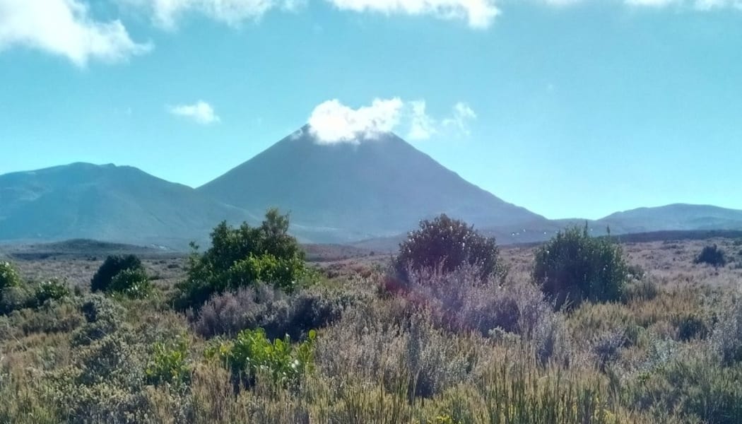 Tongariro looms large