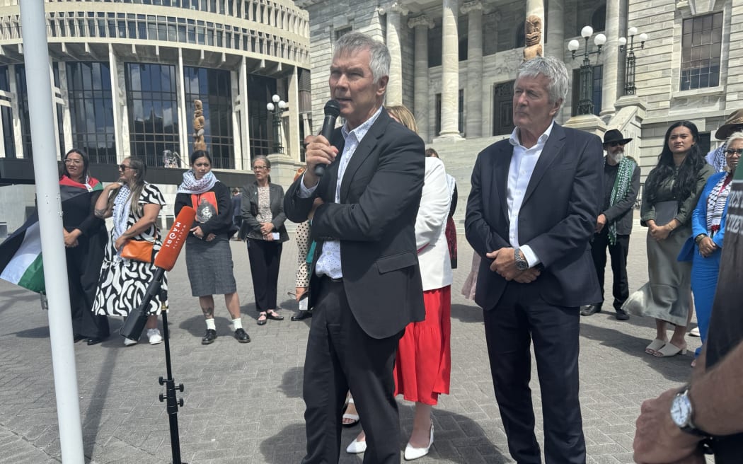 Politicians and protesters gathered on the steps at parliament on 13 February 2024, calling for more action in regards to the war in Gaza.
