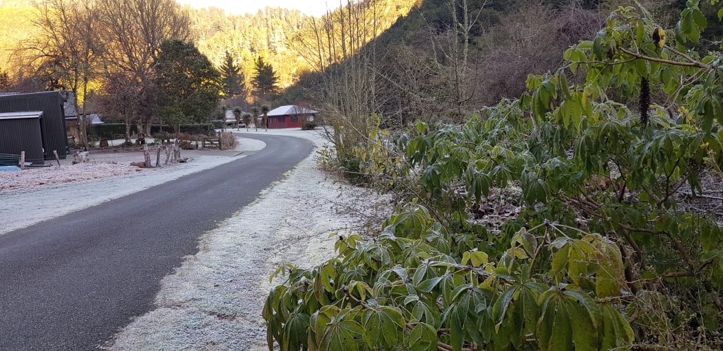 Beautiful but bleak - a minus 9C frost in Reefton on 2 July.