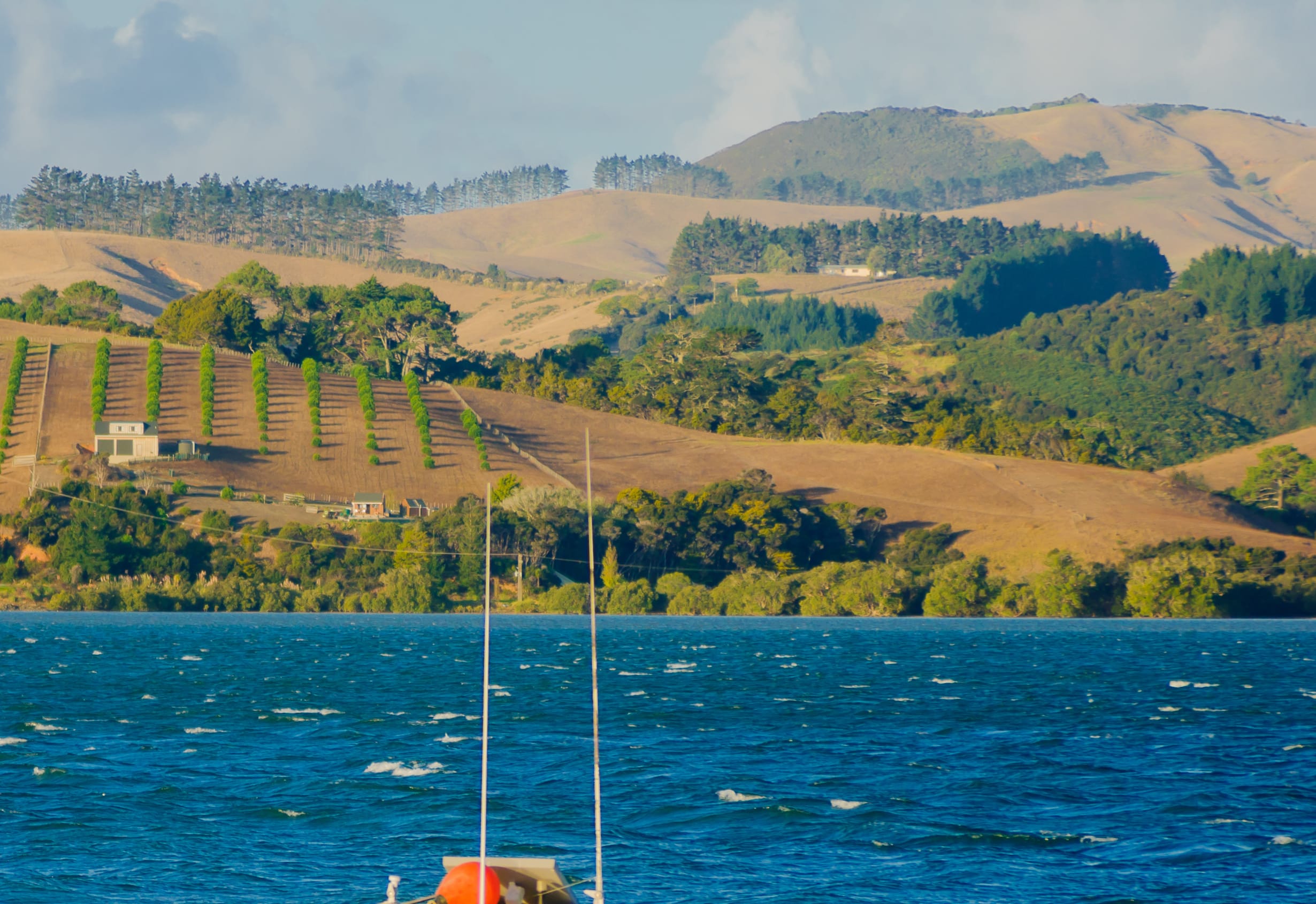 Fishing boat and landscape near Mangonui, Northland Region, New Zealand