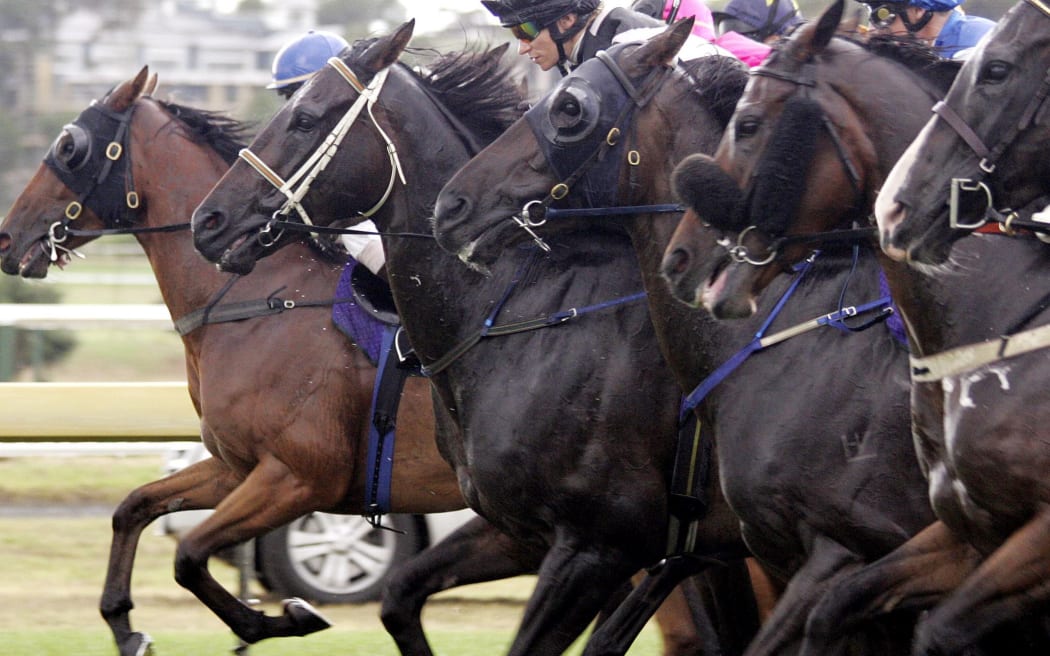 Horses jump out of the gates.