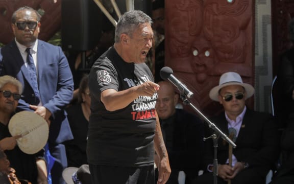 Veteran Māori activist and previous MP Hone Harawira addresses members of the coalition government at Waitangi Treaty Grounds: "You and your shitty ass bill are going down the toilet."
