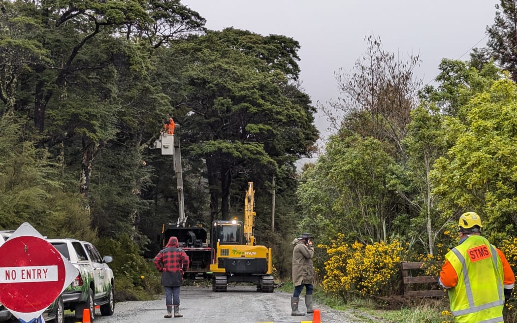 Workers remove the roadside beech trees on Monday.