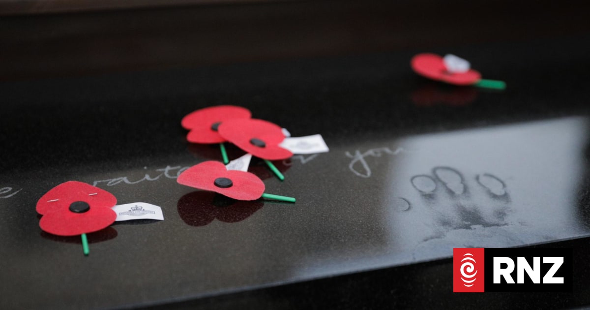 How the poppy has endured as our symbol of war and remembrance