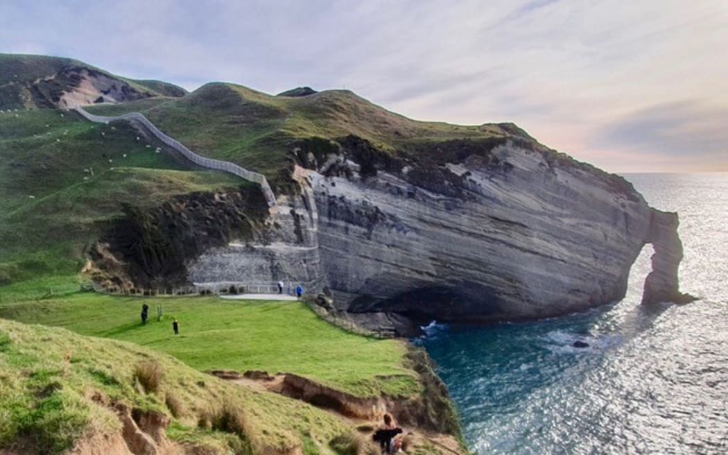 Farewell Spit predator free fence