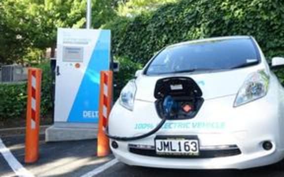 electric car dunedin