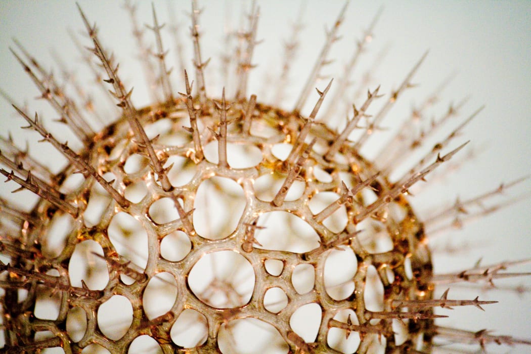 model of a virus