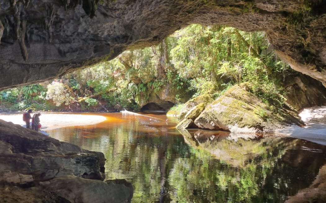 Conservation scene on West Coast - single use only