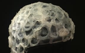 A kakapo ejaculation helmet from Te Papa, 2017