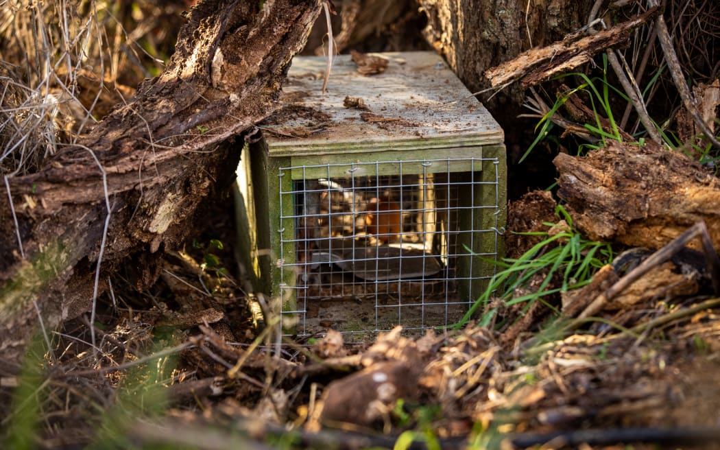 Canterbury pest control trap