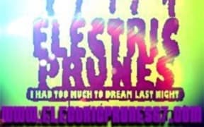 The Electric Prunes, I had too much to dream last night.