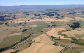 Dry land near Timaru.