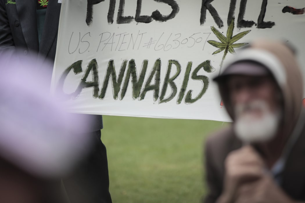 Members of Parliaments, lobists and supports gathered outside Parliament with petition to legalise cannabis, 17,000 people signed the petition.