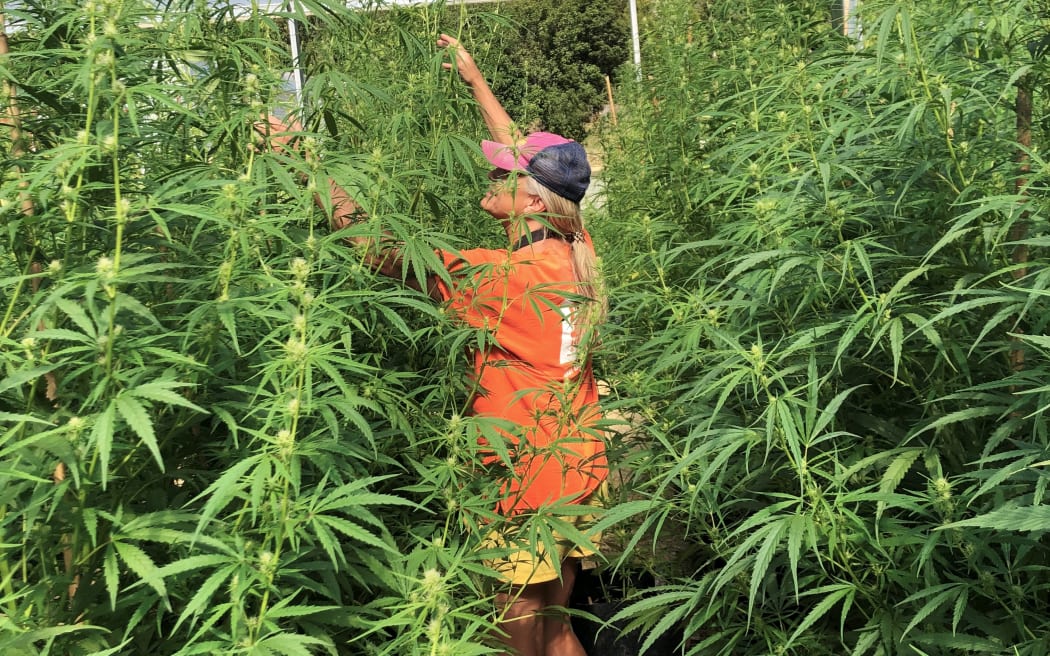 Jake and Kathy Industrial Hemp