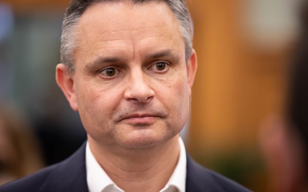 Green Party co-leader James Shaw