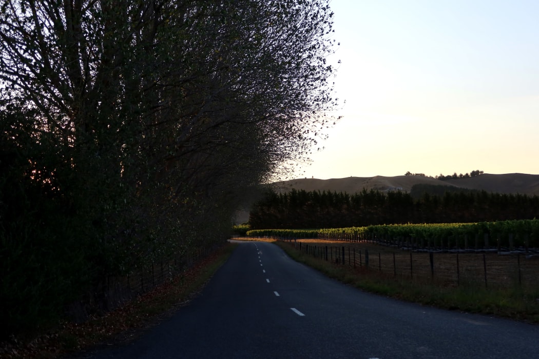 Simcox Quarry Limited wants to dig up to 90,000 tonnes of rock a year from its Barracks Rd quarry in the Omaka Valley.