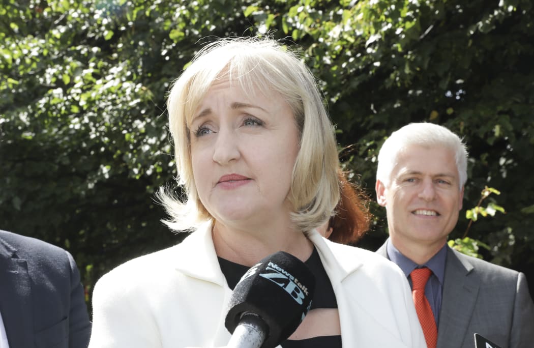 National MP Amy Adams announces she will stand for National Party leader.