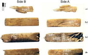 Ancient Tongan tattooing kit
