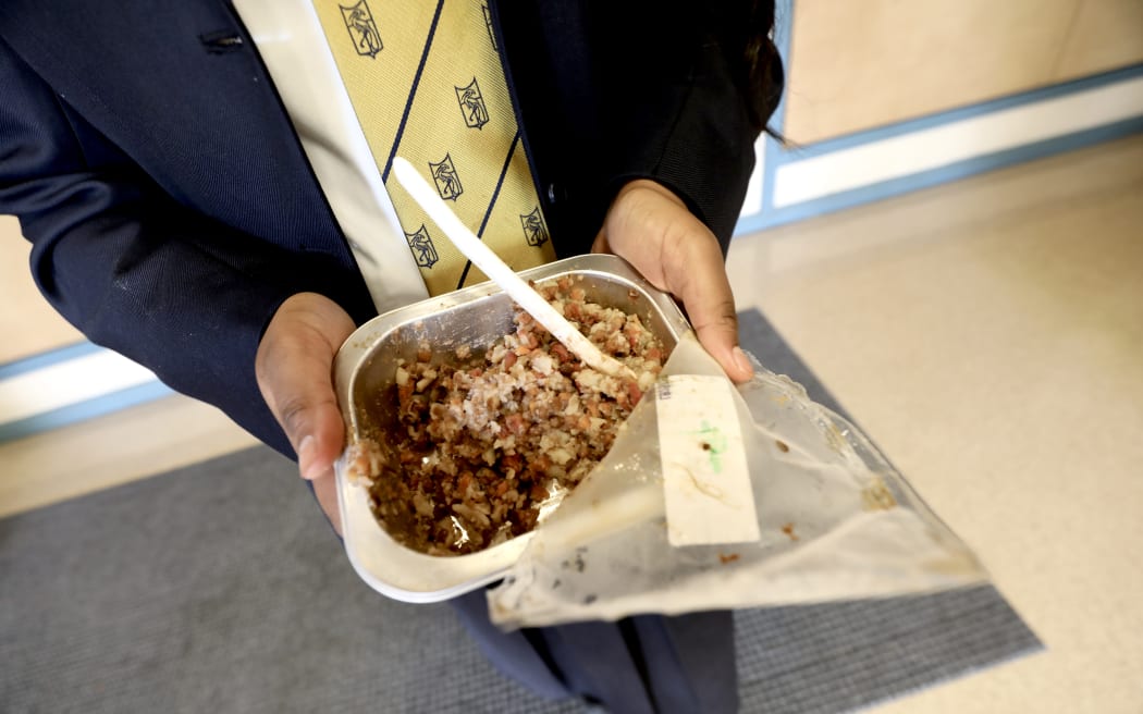 A close-up photo of one of the new school lunches.