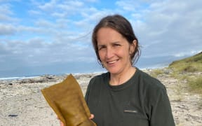 Terressa Kollat holding Southern bull kelp Durvillaea (poha).