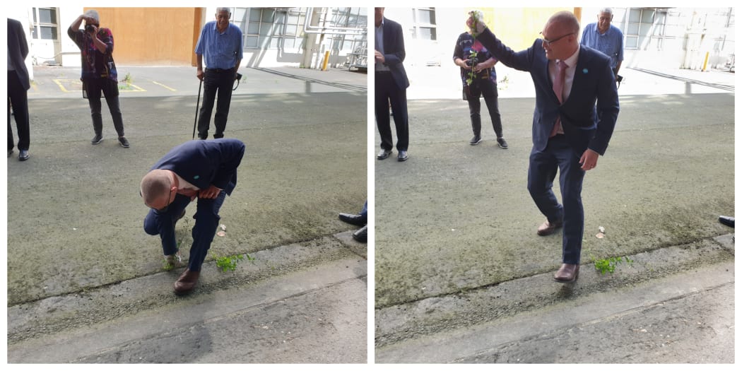 Health Minister David Clark pulls a weed from the former Cadbury factory ahead of the Dunedin Hospital build.