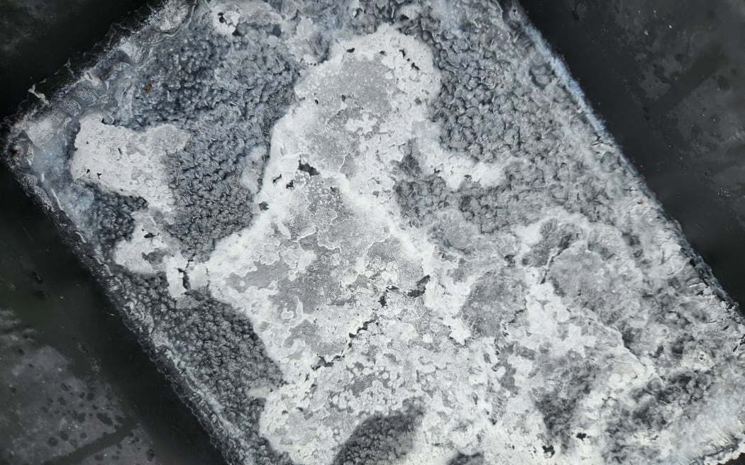 Saltwater crystalizing after being in the evaporator