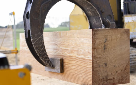 Creating a cubic metre of wood with Manulife foresters to show carbon sequestration