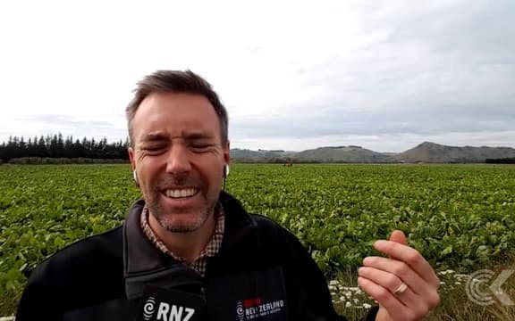 MPI investigates potentially devastating plant pest: RNZ Checkpoint