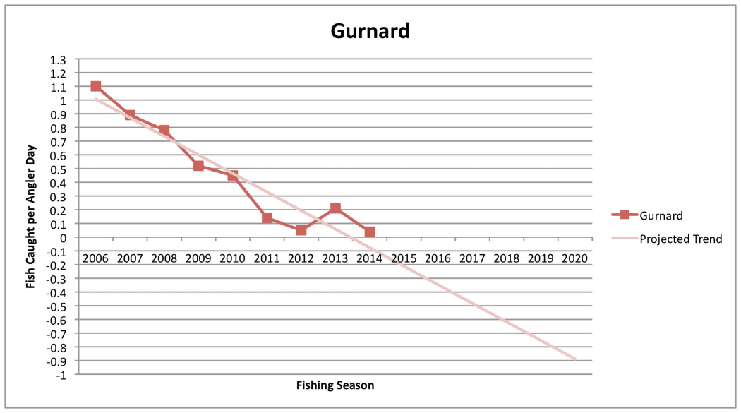 Pania Surfcasting Club members surveyed from 2006 -2014 reported a 96 percent decline in gurnard being caught from the shore.