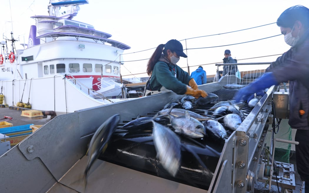 The first catch of bonito tuna for the year being landed at Katsuura Port, Japan, on 1 February, 2023.