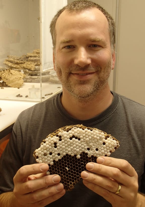 Bob Brown holding part of a wasp nest