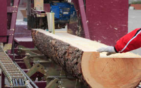 Sawing boards from logs with circular sawmill.