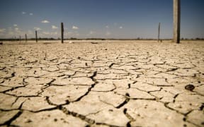 The Australian Climate Roundtable will lobby for well-designed climate change policies.