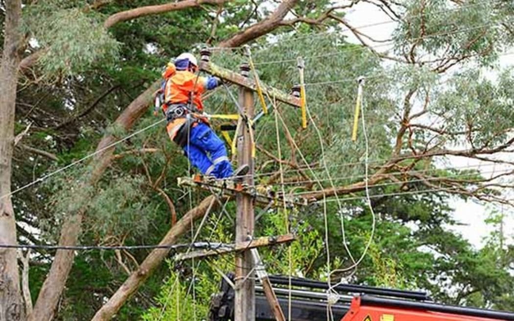 Vector crews were dealing power lines damaged by branches.