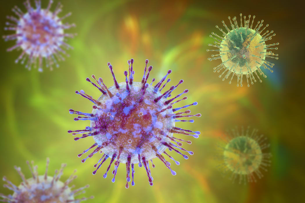 Group of viruses, computer illustration. (Photo by KATERYNA KON/SCIENCE PHOTO LIBRA / KKO / Science Photo Library via AFP)

coronavirus generic