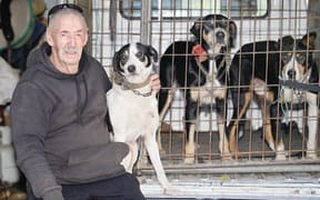 Pat Collins was the head of animal control at Gisborne District Council for over 20 years before retiring in 2012