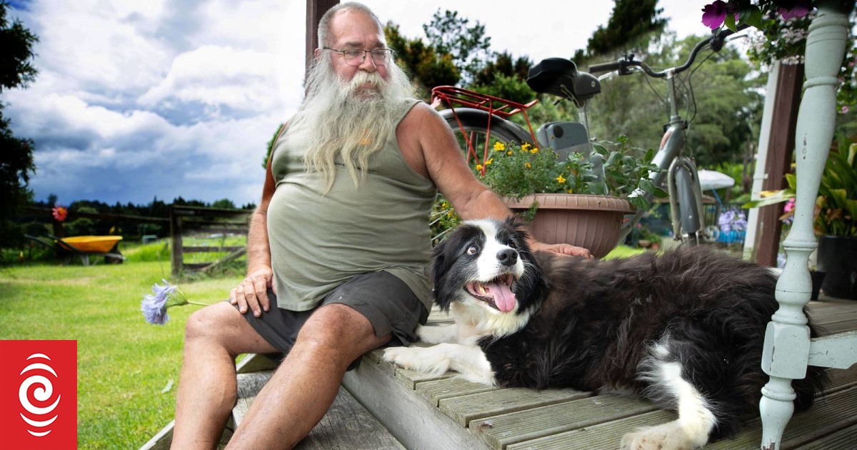 Border collie recovers after 'devastating' dog attack - Vimarsana News