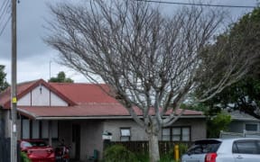 This property in Birkdale, Auckland, was the subject of a Tenancy Tribunal investigation.