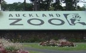Auckland Zoo