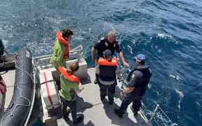 Antarctic penguin Adelie release