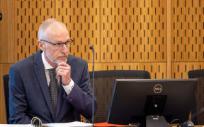 Expert witness Michael McIlraith appears during the latest phase of the coronial inquest into the March 2019 terror attack in Christchurch, New Zealand.