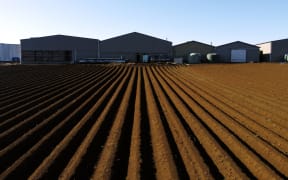 The National Policy Statement for Highly Productive Land (NPS-HPL) is expected to prevent the loss of prime horticultural land in areas like Pukekohe and protect it from inappropriate subdivision and development.