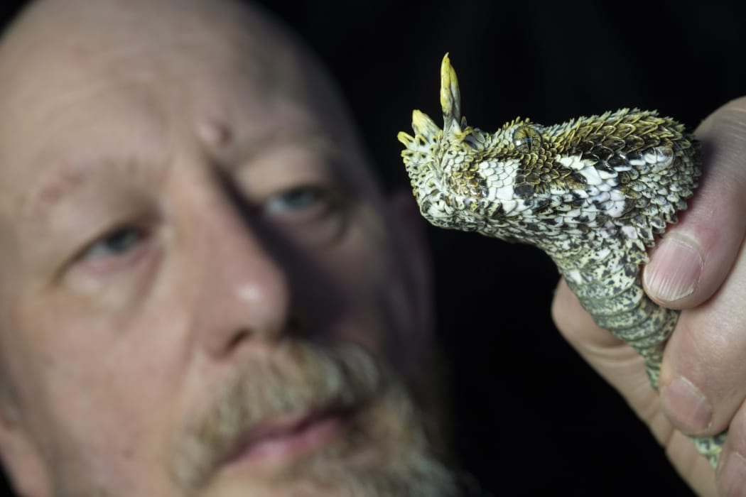 Paul Rowley holding a Rhino viper