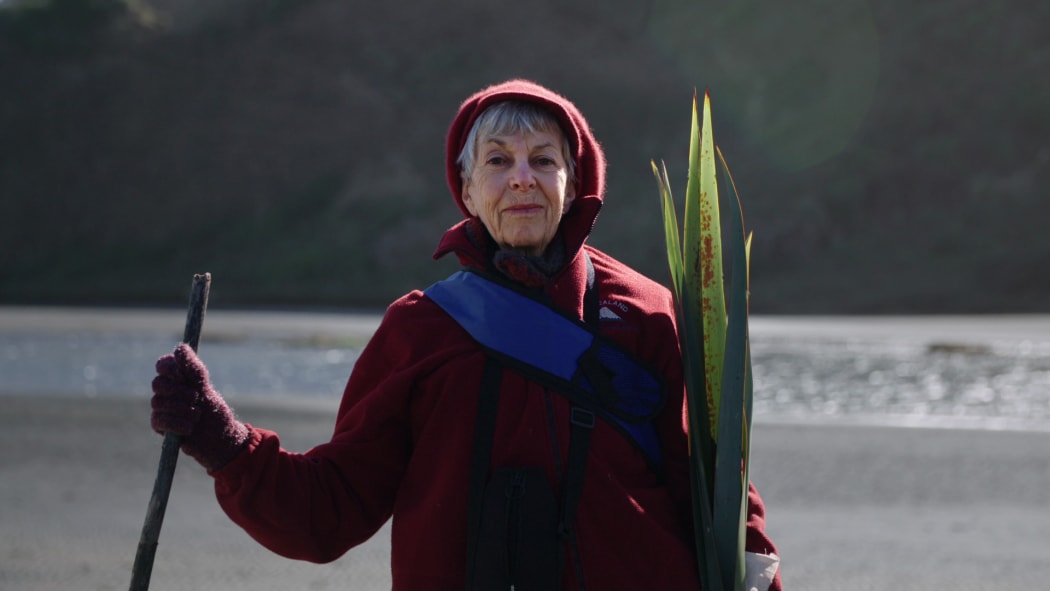 Connecting to Aotearoa