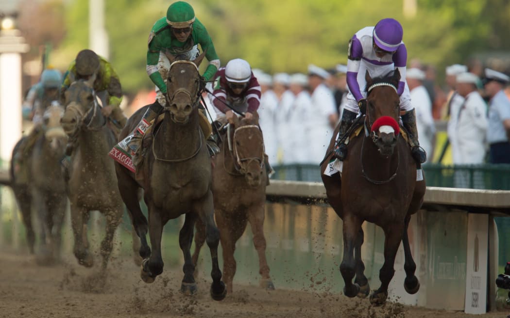 2016 Kentucky Derby winner Nyquist.