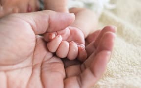 Soft focus of newborn tiny baby hand on parent hands.