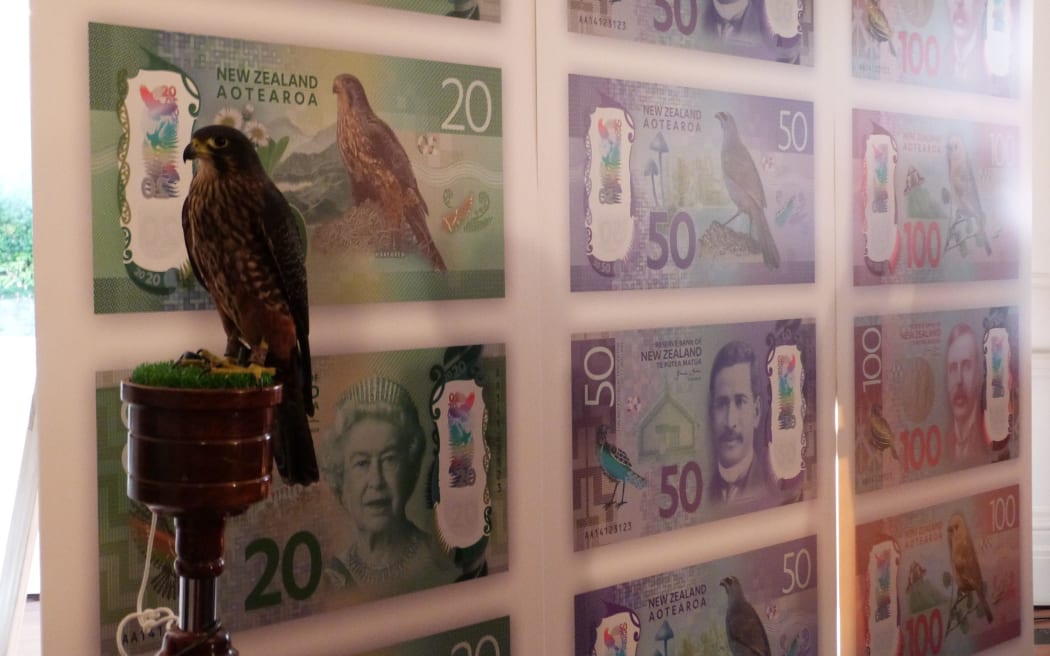 New Zealand's native falcon karearea sits before posters of the new bank notes, including the $20 note on which it features.