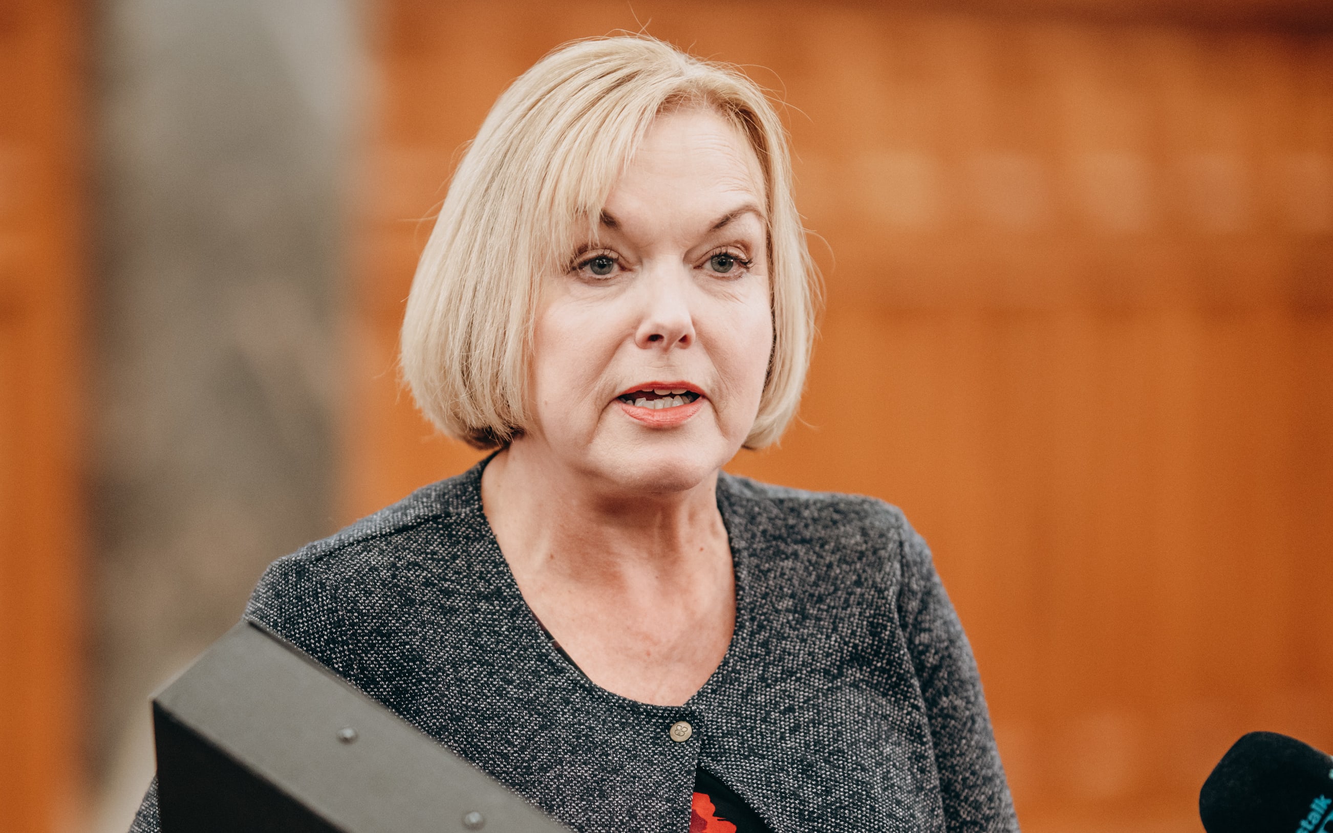 National leader Judith Collins  17/02/21