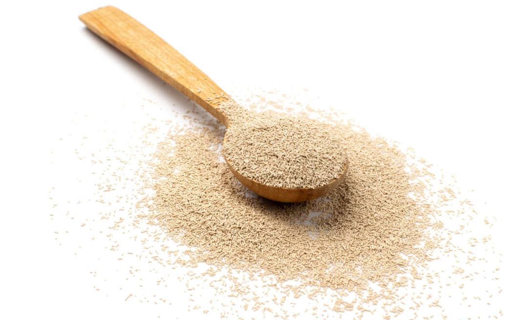 Dry yeast on a spoon