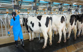 The Government was not taking agriculture into account where casual employment was necessary, said Calvin Fisher.